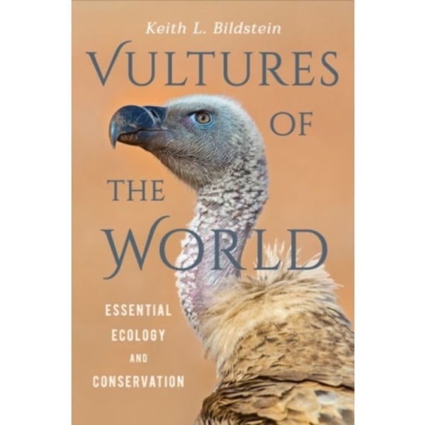 Vultures of the World (inbunden, eng)