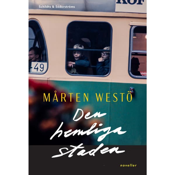 Den hemliga staden (inbunden)