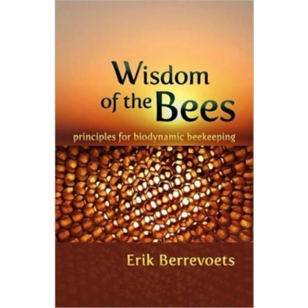 The Wisdom of Bees (häftad, eng)