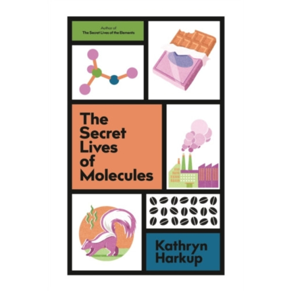 The Secret Lives of Molecules (inbunden, eng)