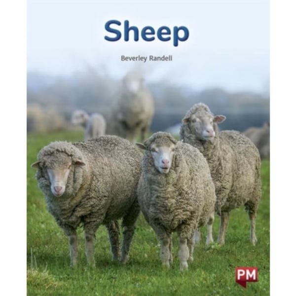 SHEEP (häftad, eng)
