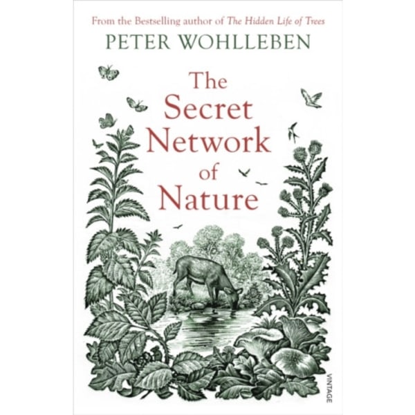 The Secret Network of Nature (häftad, eng)