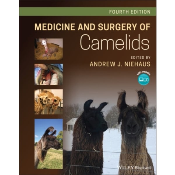 Medicine and Surgery of Camelids (inbunden, eng)