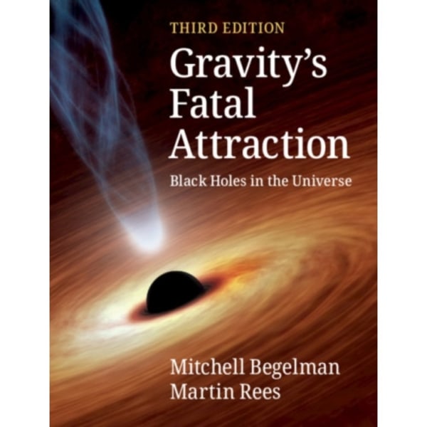 Gravity's Fatal Attraction (häftad, eng)