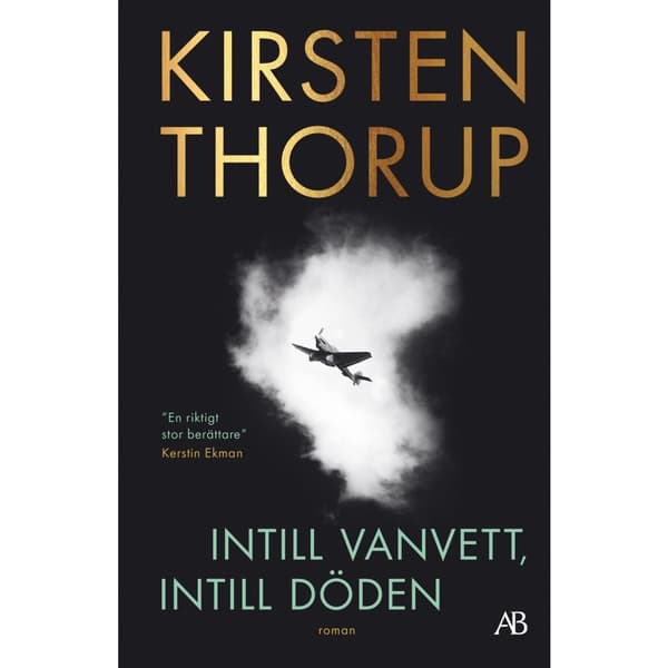 Intill vanvett, intill döden (bok, storpocket)