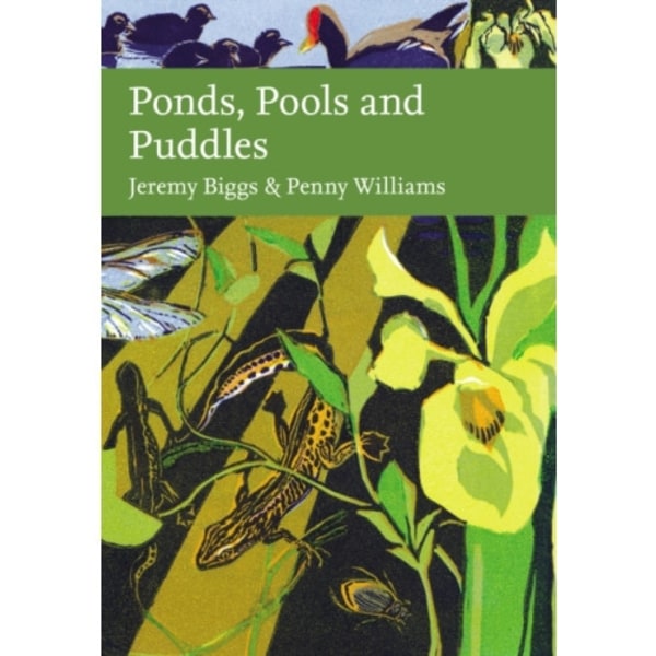 Ponds, Pools and Puddles (inbunden, eng)
