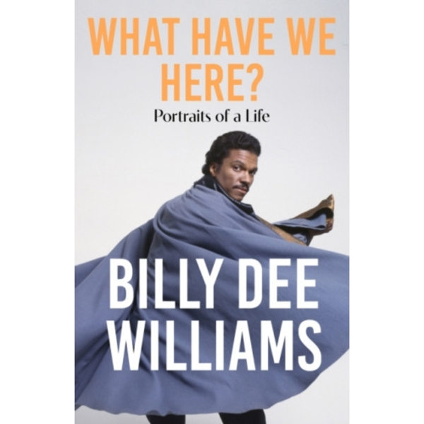 What Have We Here (häftad, eng)