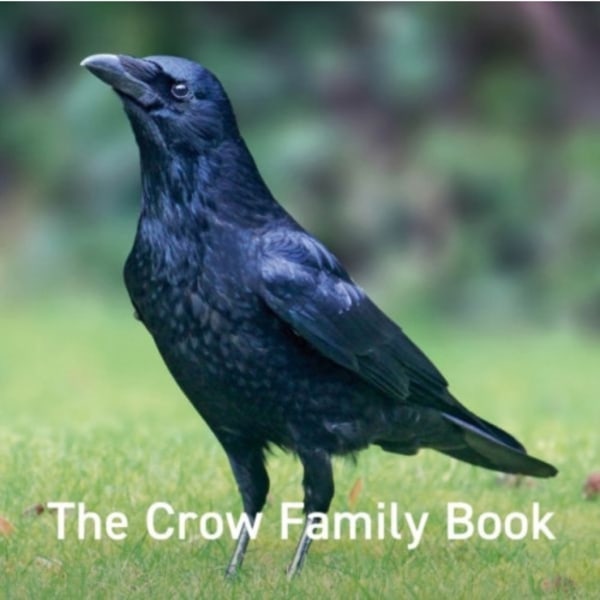 Crow Family Book, The (inbunden, eng)