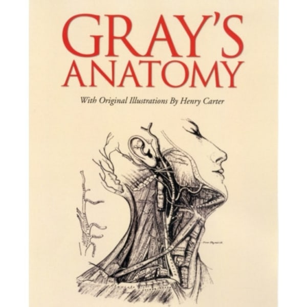 Grays Anatomy (inbunden, eng)