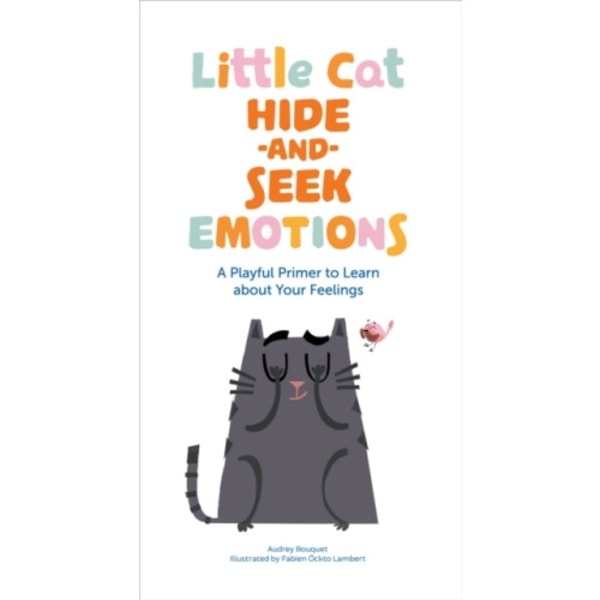 Little Cat Hide-and-Seek Emotions (bok, board book, eng)