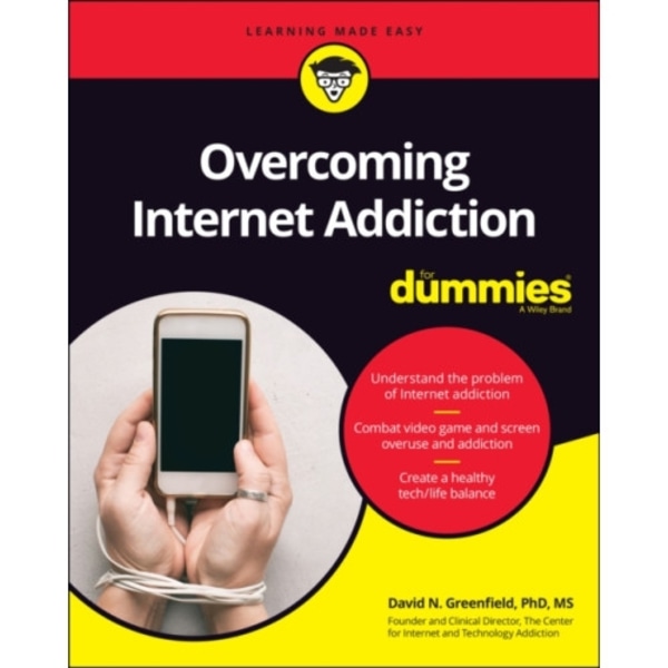 Overcoming Internet Addiction For Dummies (häftad, eng)