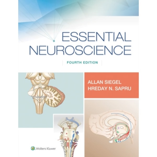 Essential Neuroscience (häftad, eng)