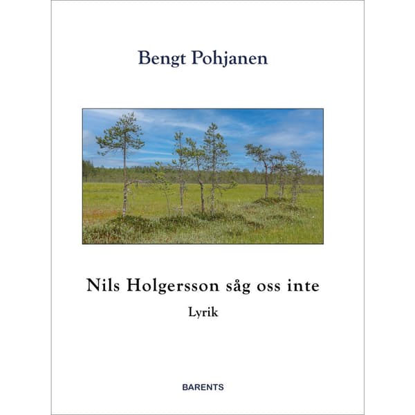 Nils Holgersson såg oss inte (bok, danskt band)