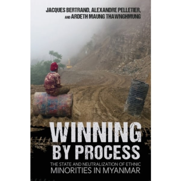 Winning by Process (häftad, eng)