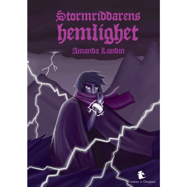 Stormriddarens hemlighet (bok, kartonnage)