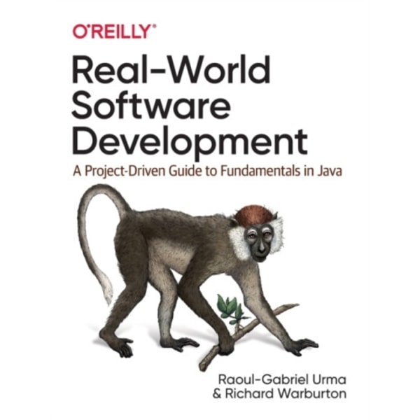 Real-World Software Development (häftad, eng)