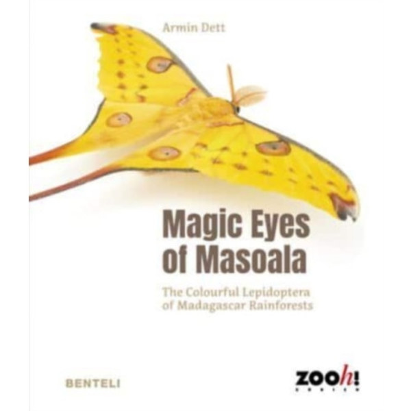 Magic Eyes of Masoala (inbunden, eng)