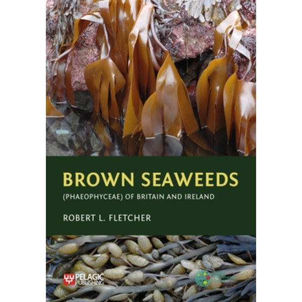 Brown Seaweeds (Phaeophyceae) of Britain and Ireland (inbunden, eng)