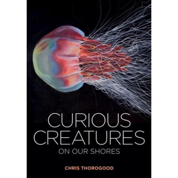 Curious Creatures on our Shores (inbunden, eng)