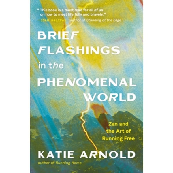 Brief Flashings in the Phenomenal World (häftad, eng)