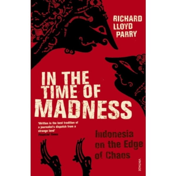 In The Time Of Madness (häftad, eng)