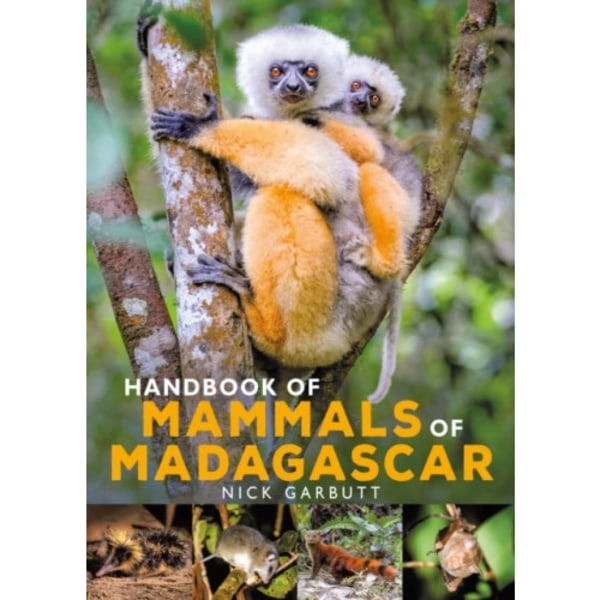 Handbook of Mammals of Madagascar (inbunden, eng)