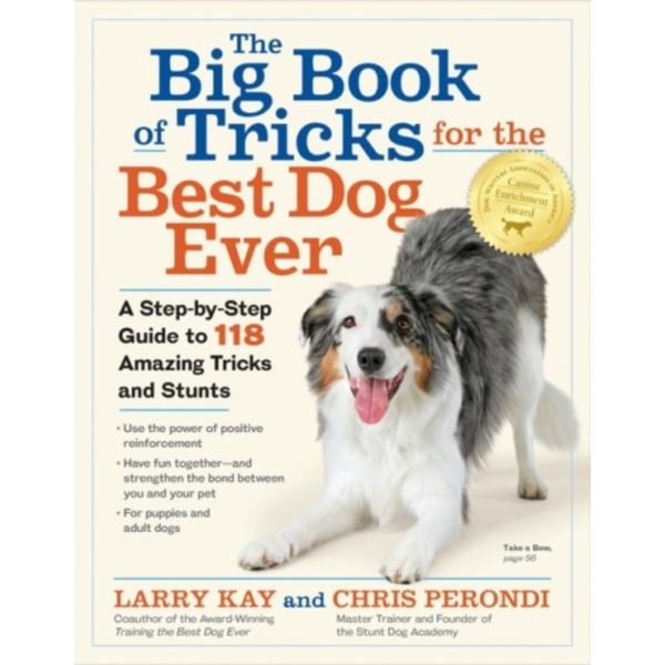The Big Book of Tricks for the Best Dog Ever (häftad, eng)