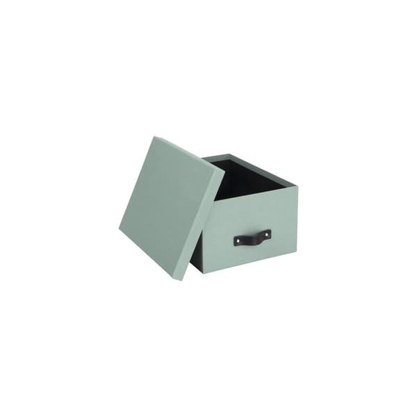 Förvaringsbox m.lock kartong Mint