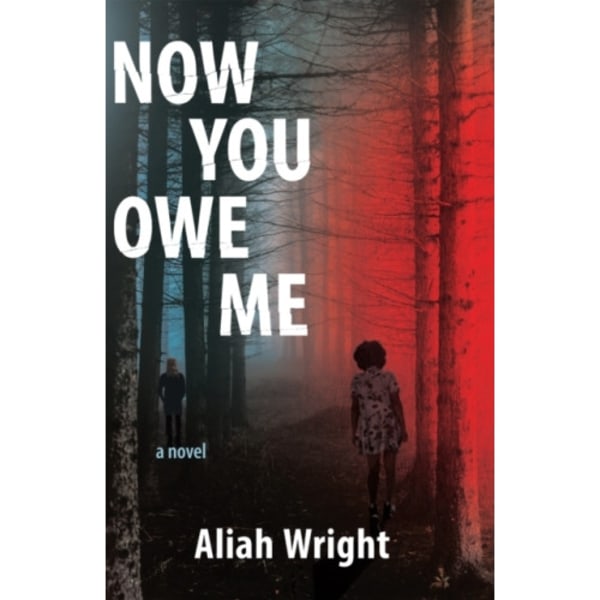 Now You Owe Me (häftad, eng)