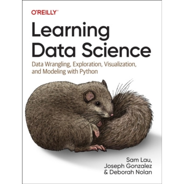 Learning Data Science (häftad, eng)