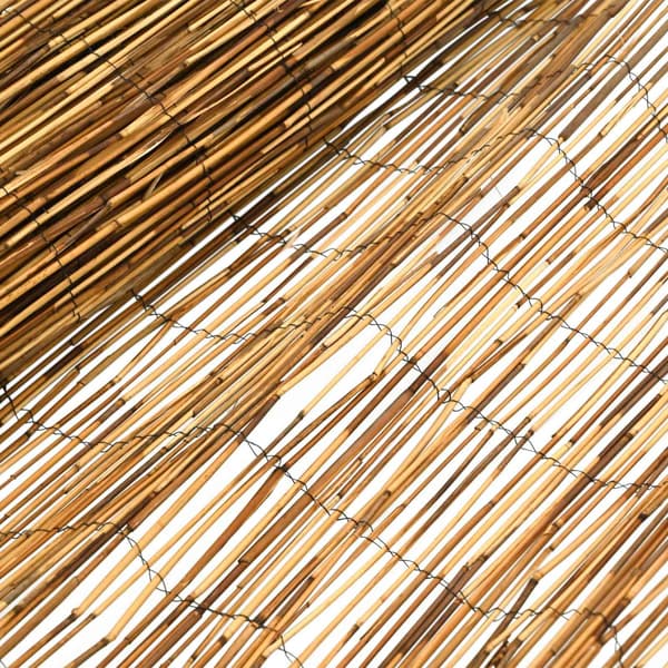 Trädgårdsstängsel Karbomiserad 600 x 100 cm Vass