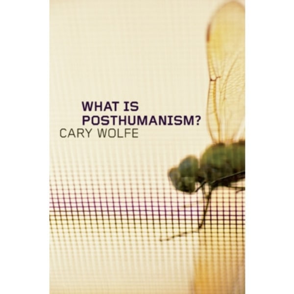 What Is Posthumanism? (häftad, eng)