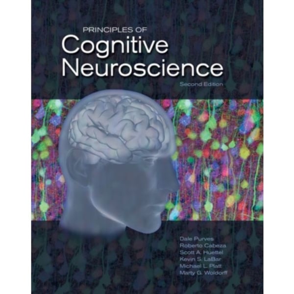 Principles of Cognitive Neuroscience (inbunden, eng)