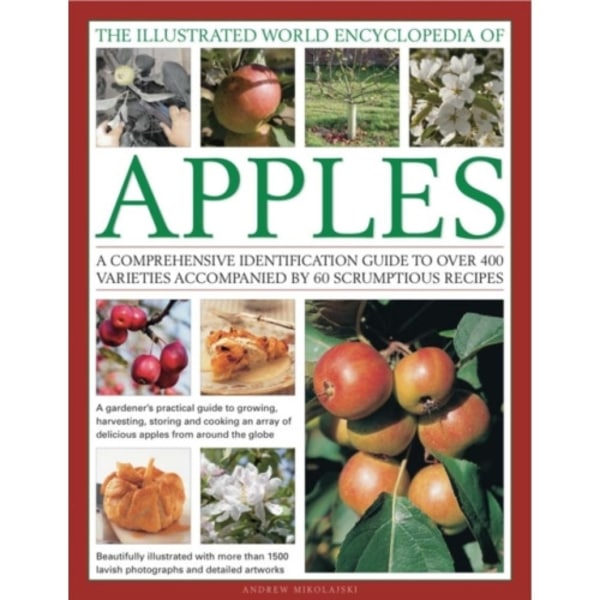 Illustrated World Encyclopedia of Apples (inbunden, eng)