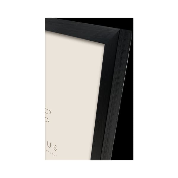 Focus Willow Black 20x30