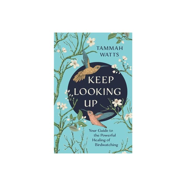 Keep Looking Up (häftad, eng)