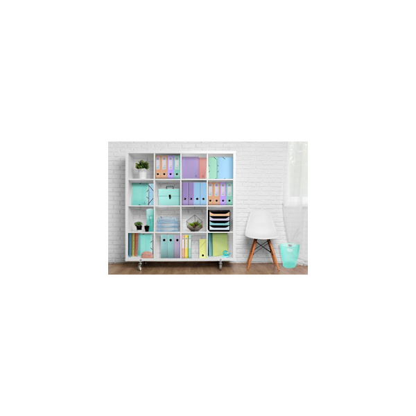 Blankettbox EXACOMPTA BIGBOX 4 låd paste