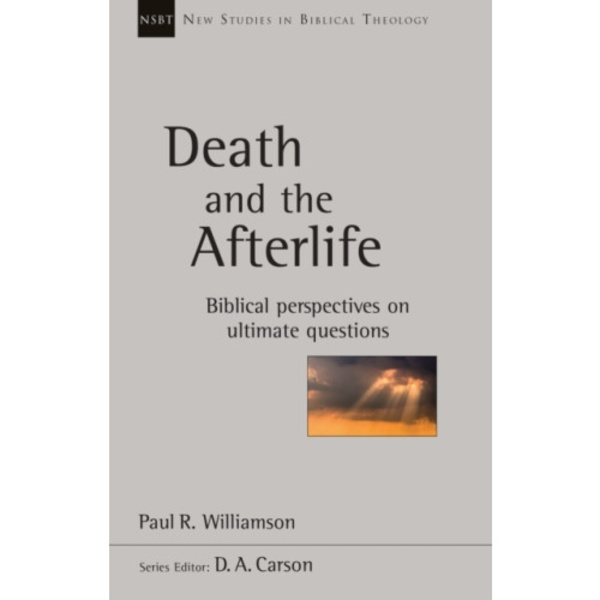 Death and the Afterlife (häftad, eng)