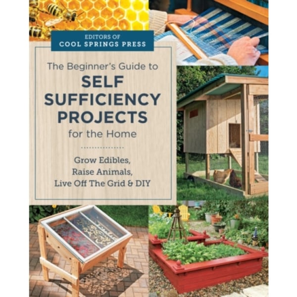 Beginner's Guide to Self Sufficiency Projects for the Home (häftad, eng)