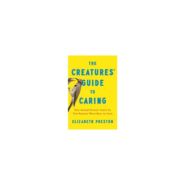 The Creatures' Guide to Caring (inbunden, eng)