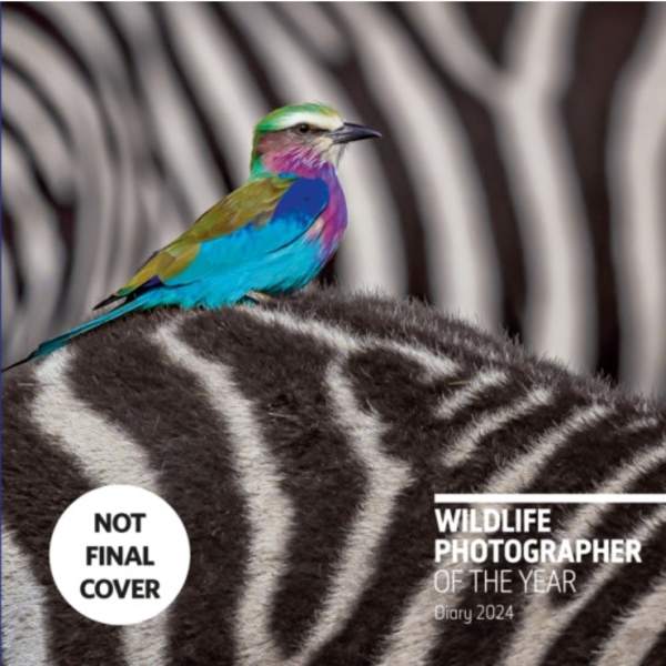 Wildlife Photographer of the Year: Desk Diary 2024 (inbunden, eng)