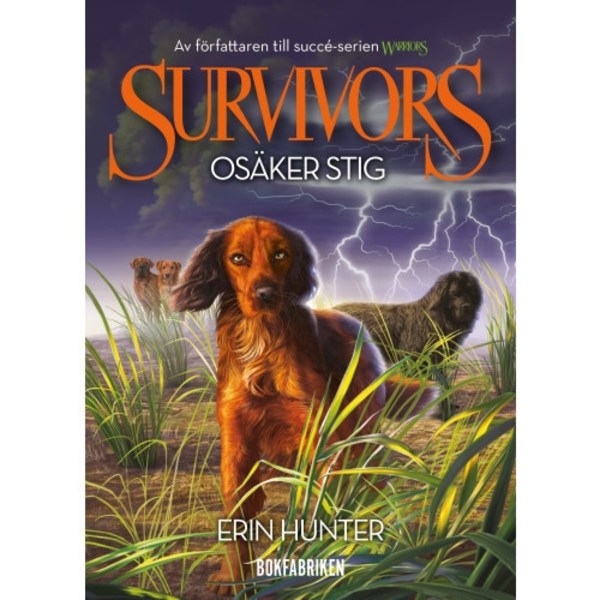 Osäker stig (bok, kartonnage)
