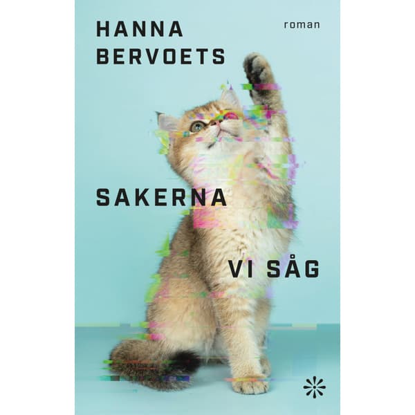 Sakerna vi såg (inbunden)