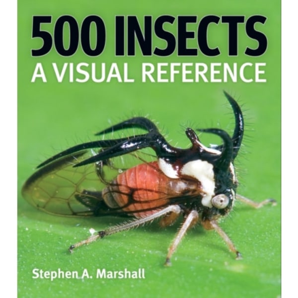 500 Insects: A Visual Reference (häftad, eng)