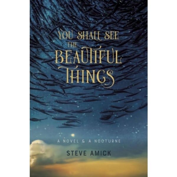 You Shall See the Beautiful Things – A Novel & A Nocturne (häftad, eng)