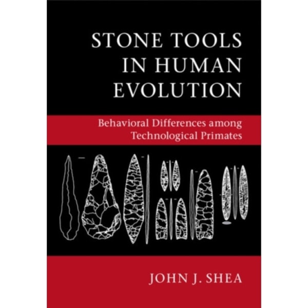 Stone Tools in Human Evolution (häftad, eng)