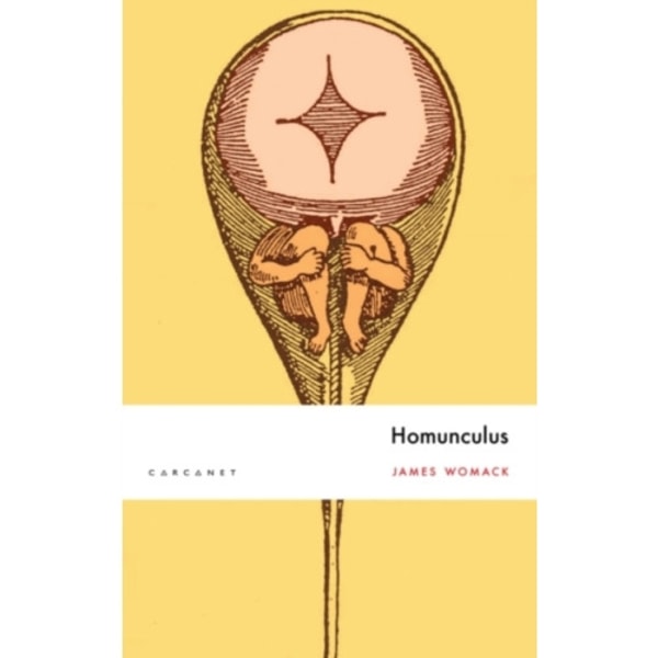 Homunculus (häftad, eng)