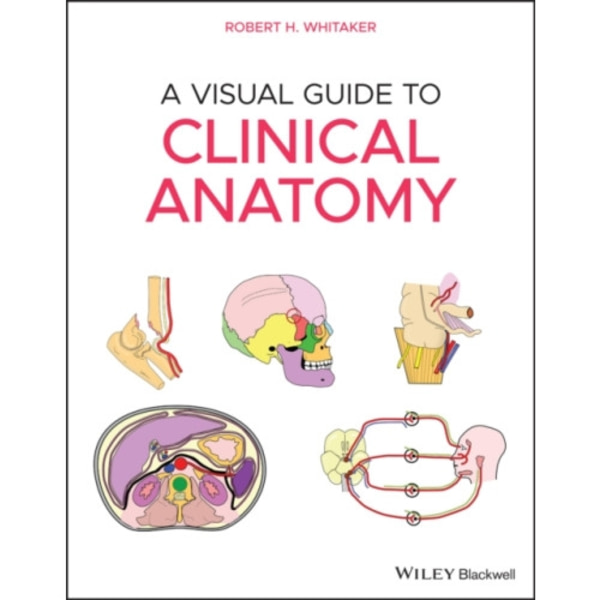 A Visual Guide to Clinical Anatomy (häftad, eng)