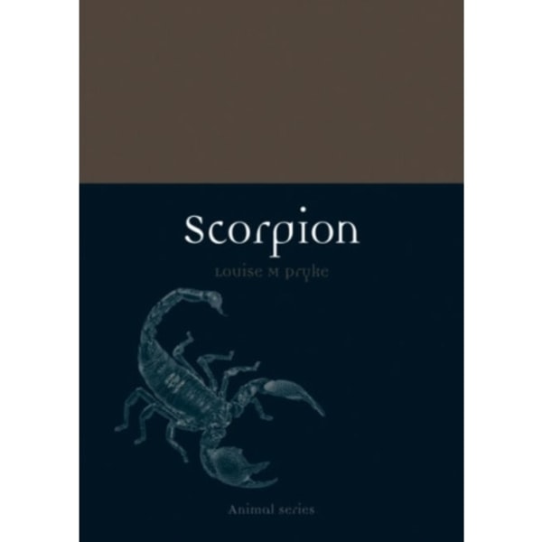 Scorpion (häftad, eng)