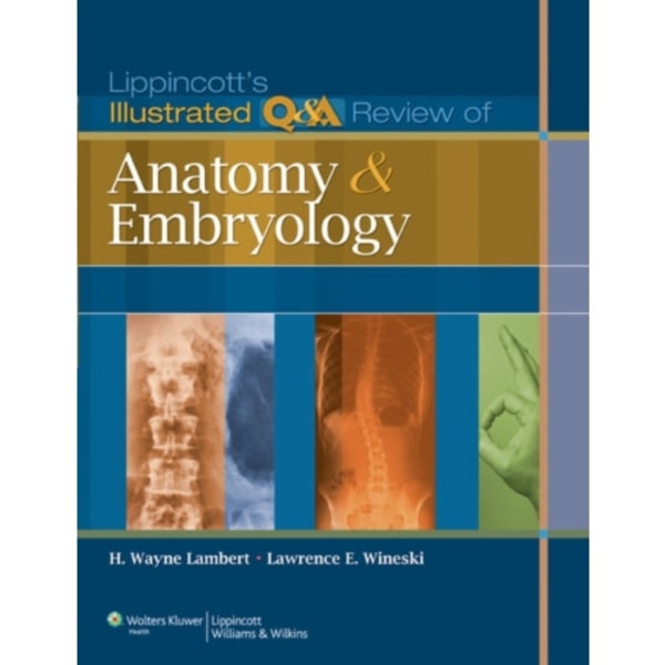 Lippincott's Illustrated Q&A Review of Anatomy and Embryology (häftad, eng)